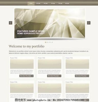 网站与网页设计 从模板到定制化的视觉与功能之旅